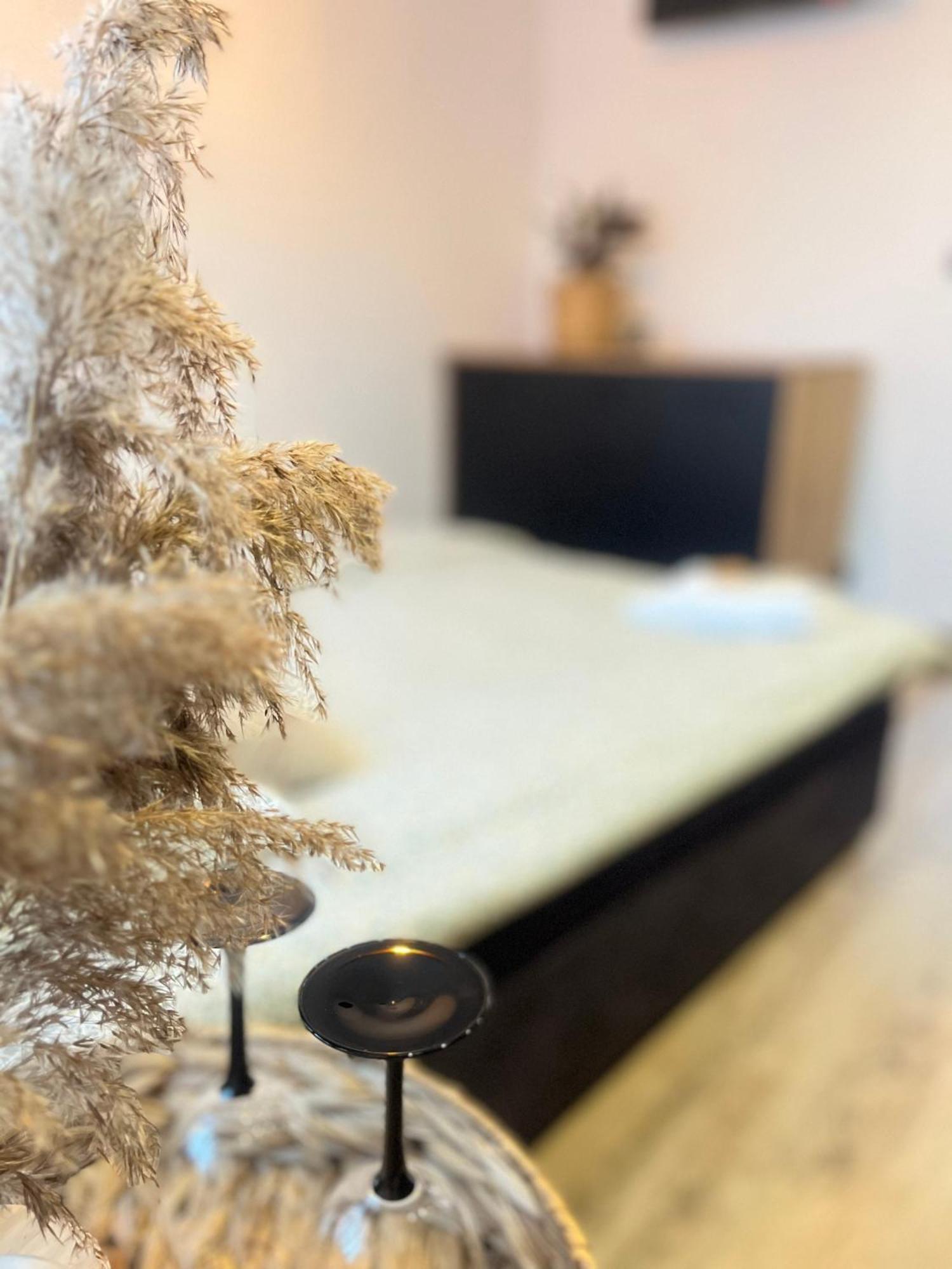 אוז'יש Nowoczesny Maly Apartament Nr 3 מראה חיצוני תמונה