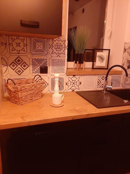 אוז'יש Nowoczesny Maly Apartament Nr 3 מראה חיצוני תמונה